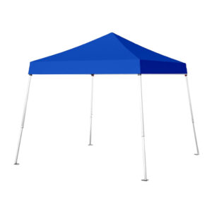 10x10 Canopy Tent