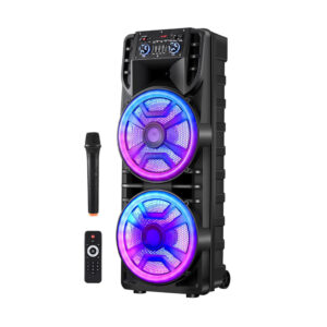 Dual "12" Party Speaker