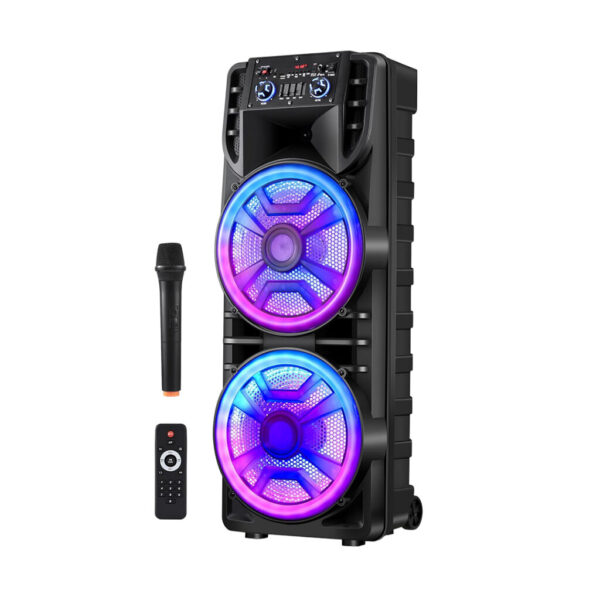 Dual "12" Party Speaker