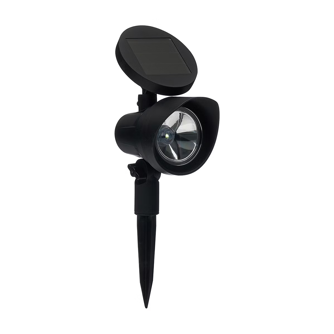 Solar Spot Light